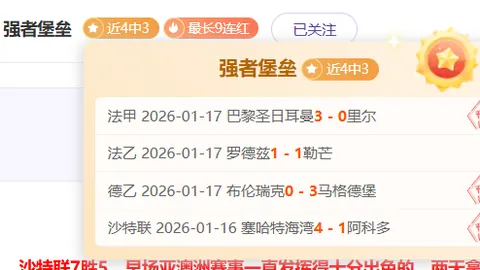 倡导文明观赛，亚泰球迷展新风貌，携手打造南岭美好画面